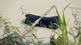 Police probe mystery of half-naked woman's body found in chained suitcase at reservoir in Thailand