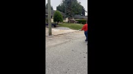 Skunk's Head Flung Away From Cup