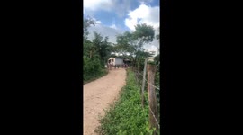Kid on bicycle accidentally knocks girl while running downhill in Jutiapa