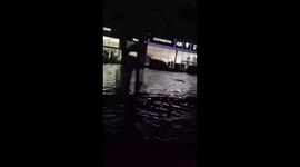 Cars submerged in floodwaters in Guadalajara, Mexico