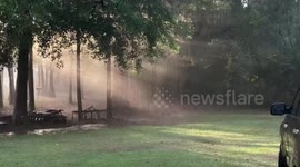 Soothing sunlit rain in Alabama, USA