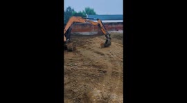 Dog enjoys playful excavator ride in Hebei, China