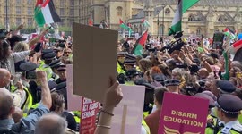 Palestine Action Supporters Arrested In Westminster