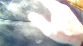 Diver swims with huge humpback whale