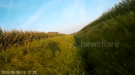 Foot video low flying paramotor small crash at end