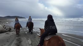 Horseback riding on the beach