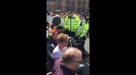 Activists shut down Westminster Bridge with protest