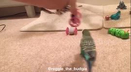 Reggie and his 2 girlfriends