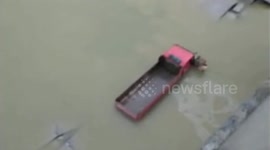 Abandoned bridge collapses, crushing construction vehicles