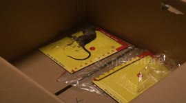 Rat found on passenger plane in China