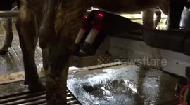 have you ever seen a Robot milking cows on a farm in kerry ireland