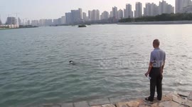 环保狗下水捡垃圾