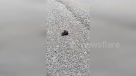 US: Tiny Beetle Rolls Giant Ball Showing Strength Of World’s Strongest Animal