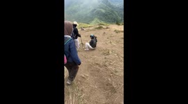 Hiker leaves a trail of dust as she uncontrollably runs down trail