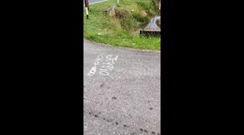 Kind motorcycle rider helps mudskipper fish back into water