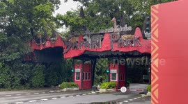 Thai safari park closed as zookeeper is eaten alive by pride of lions