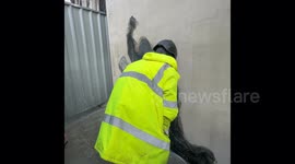 Banksy artwork showing judge beating protester is removed from Royal Courts of Justice