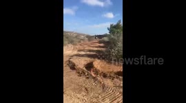 An Israeli army force bulldozed dozens of olive trees belonging to Palestinian farmers near the town of Al-Yamoun