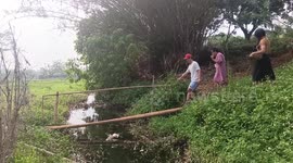 Youngsters' video of crossing stream goes wrong when bridge snaps