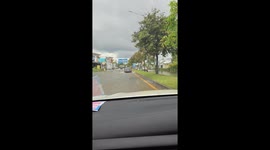 Energetic pet husky bounds through flooded road