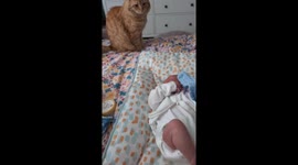 When's It Going Home, Mum?