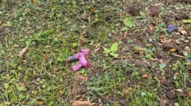Civilian injured in Russian drone strike on Kramatorsk, Ukraine says