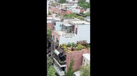 Man Turns NYC Rooftop Into Garden Oasis
