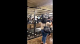 NYC 7th Ave Subway Station Flooding During Summer Storm