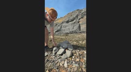 Cliff Fall in Dorset Nearly Hits Man