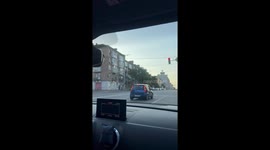 French Bulldog Passenger Sits With Some Serious Swag