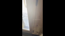 The Porch Kitty You Don’t Want