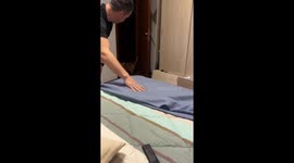 Cat Wrapped Cozily In Bedtime Blanket