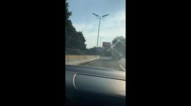 Crazy Diver on the Cuernavaca Highway