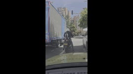 Pug Takes a Ride