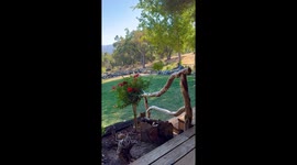 US: California’s Garnet Fire Burns 57,000 Acres in Sierra Nevada, Forces Evacuations