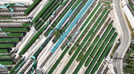 China: Chinese liquor distillery brews tourism success with interactive tours