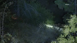 US, Los Angeles: Elysian Park Vehicle Over The Side