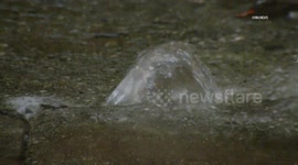 US, Los Angeles: East Hollywood Water Main Break