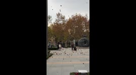 Sanitation worker stands still as strong wind gusts blow leaves around him