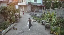 Mother spots snake as they both turn away from each other in fright