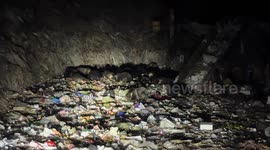 Dozens of brown bears seen foraging at landfill site