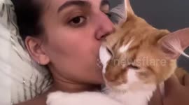 Cat returns kiss to owner in Ciudad Real, Spain