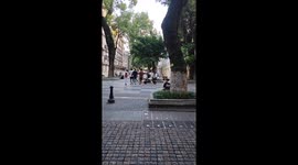 Dog balances on handlebar while riding in Guangdong, China