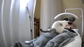 Cat joins client during lash session in Bangkok, Thailand