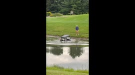 Golf cart mishap at Krueger Haskell Golf Course in Wisconsin, USA