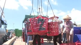 China: China’s fishing season reopens with bountiful early yields