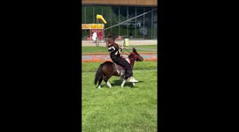 Girl thrown while trying to ride miniature horse