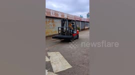 Golden Retriever shows off his forklift driving skills