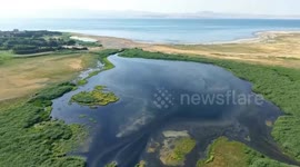 Eastern Türkiye's Lake Van hosts migrating flamingos despite reduced capacity