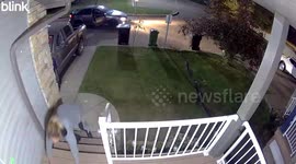 Porch pirate steals package in the middle of the night !!